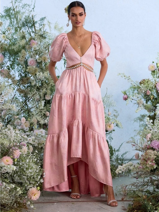 V. Chapman Dresses & Skirts - NWT V.Chapman The Emma Dress in Light Pink Windsor Brocade Size 4